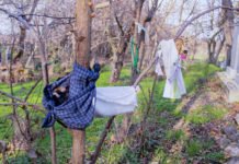 Şəkidəki Babaratma pirindən övlad diləyirlər