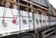 Türkiyədə 17 min iribuynuzlu heyvanı oğurladılar