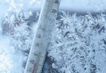 Bakıda və Abşeronda FEVRAL ayının havası müşahidə edilir