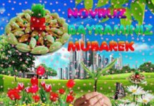 Novruz, yoxsa Qurtuluş bayramı?